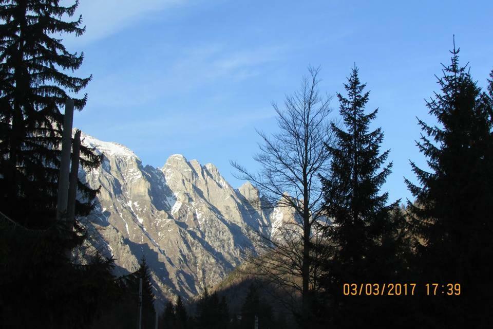 Valbona Eco Camping Valbone Ngoại thất bức ảnh