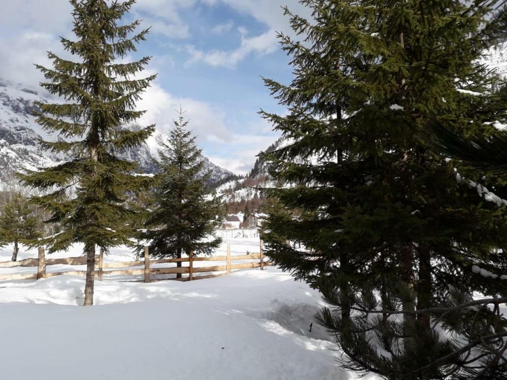 Valbona Eco Camping Valbone Ngoại thất bức ảnh